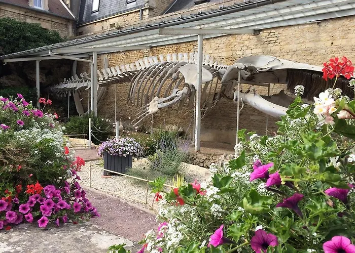 De Charme En Bord De - Wifi * Luc-sur-Mer