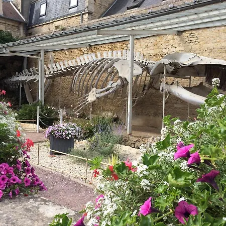 De Charme En Bord De - Wifi * Luc-sur-Mer